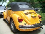 Beetle 3.jpg